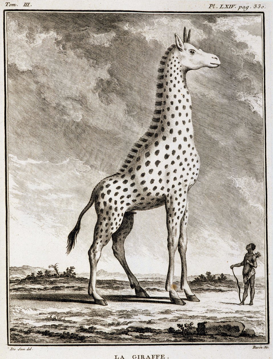 لوحة التاريخ الطبيعي: La Giraffe - في "" التاريخ الطبيعي ، العام والخاص "للفنان بوفون بواسطة المدرسة الفرنسية