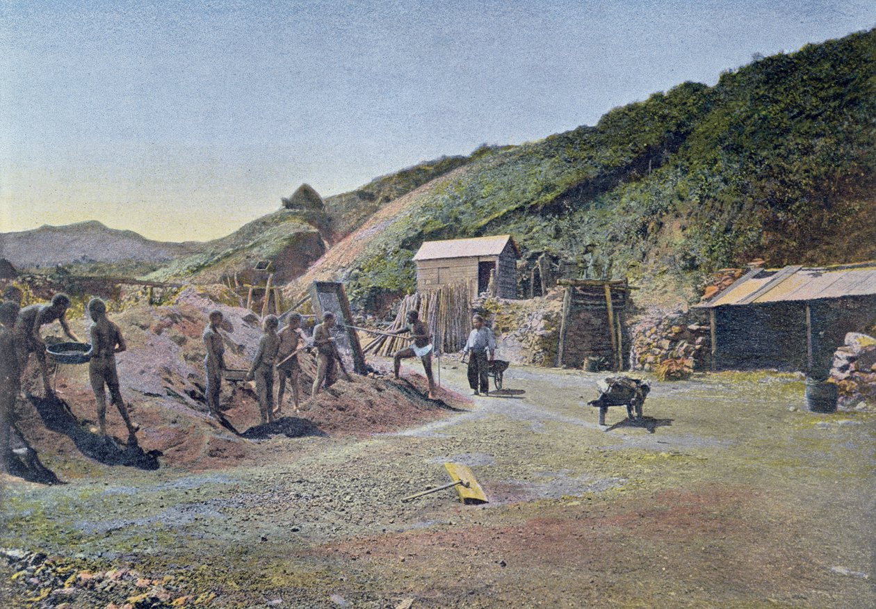 مناجم النيكل على الساحل الشرقي لكاليدونيا الجديدة ، محفورة بواسطة جيلوت ، c.1900 بواسطة المدرسة الفرنسية