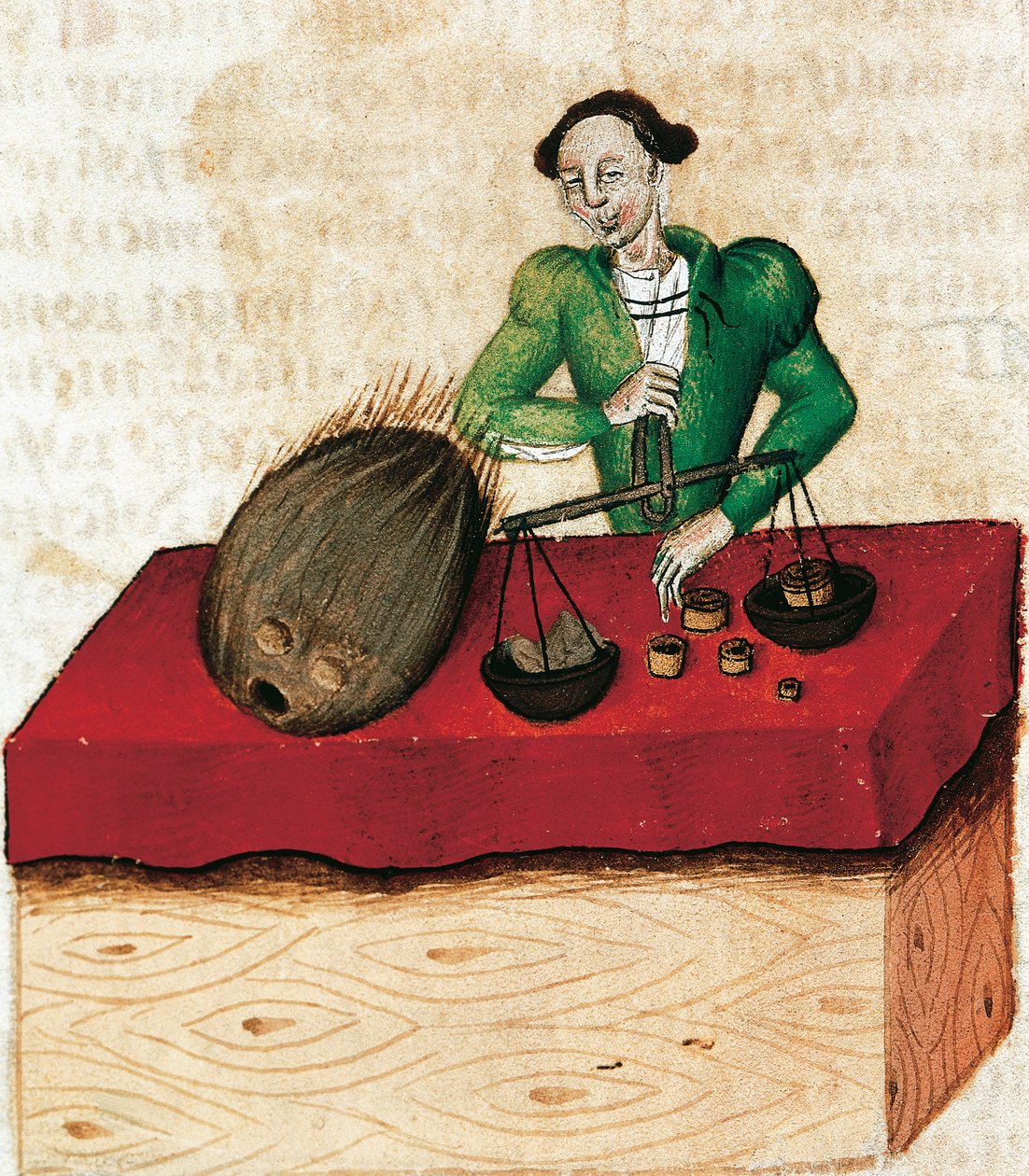 Nutmeg merchant, miniature from Tractatus de herbis, France 15th Century. بواسطة المدرسة الفرنسية