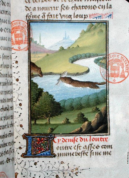 قضاعة يصطاد سمكة ، من Livre de la Chasse بواسطة Gaston Phebus de Foix (1331-1391) (رق) بواسطة المدرسة الفرنسية