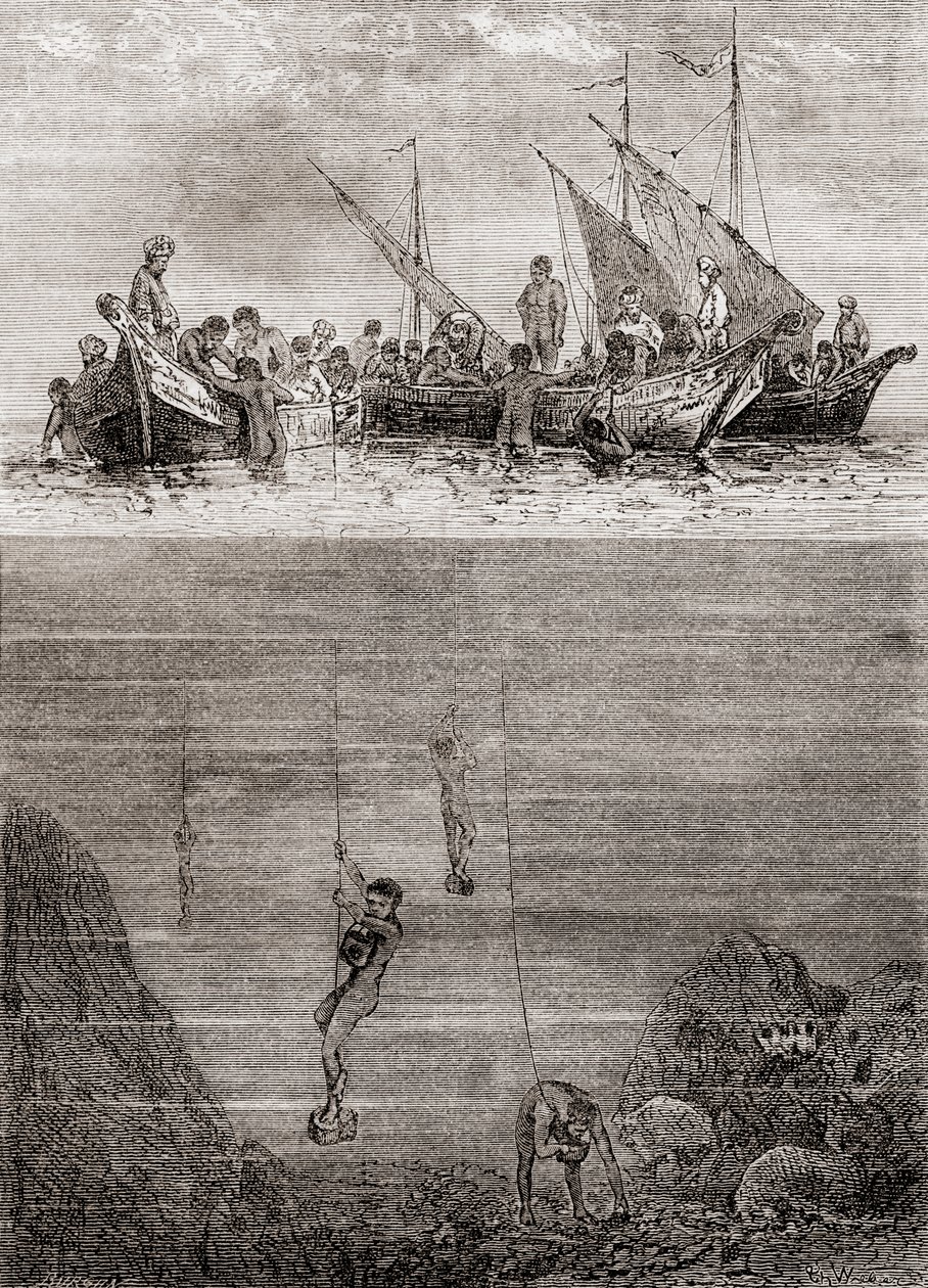 غواصو اللؤلؤ قبالة ساحل جزيرة سيلان في القرن الثامن عشر ، من "Les Merveilles de la Science" ، المنشور حوالي عام 1870 (نقش) بواسطة المدرسة الفرنسية