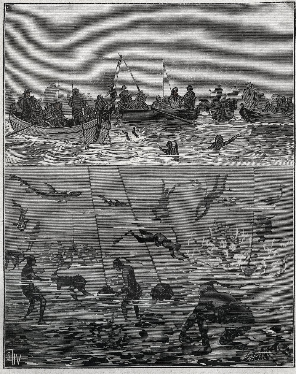 دراق اللؤلؤ في سيلان (سريلانكا الحالية) في القرن التاسع عشر. نقش من عام 1885 في "" Les Arts et metiers Illustres "" لأدولف بيتارد. بواسطة المدرسة الفرنسية