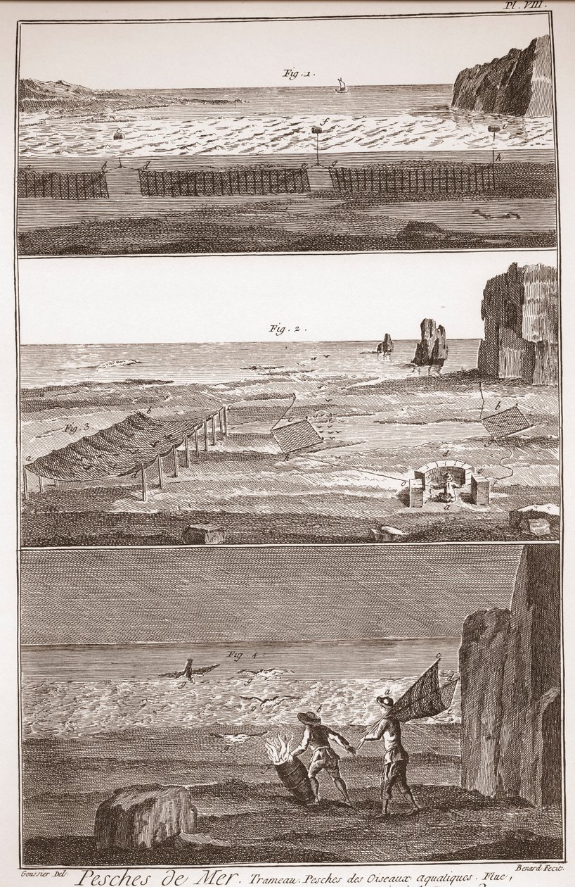 Peche de Mer - Trameau - Waterbird Fishing - "" The Great Encyclopedie، ou Dictionnaire Raisonne des Sciences، des Arts et des Metiers "(موسوعة أو قاموس العلوم والفنون والمهن) بقلم دينيس ديدرو (1713-1784) وجان د. Alembert (171 بواسطة المدرسة الفرنسية
