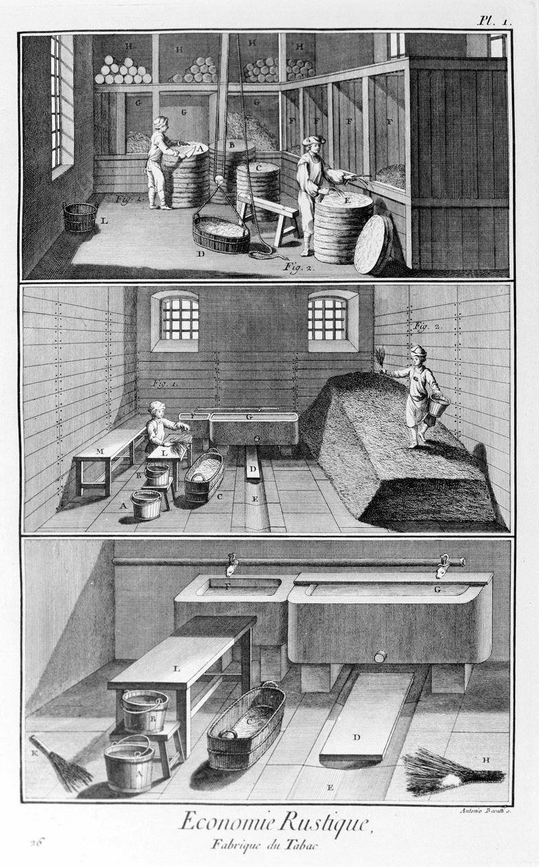 لوحة تمثل مصنع تبغ. مصنع التبغ - موسوعة ديدرو ودالمبيرت. (1747 - 1766) بواسطة المدرسة الفرنسية