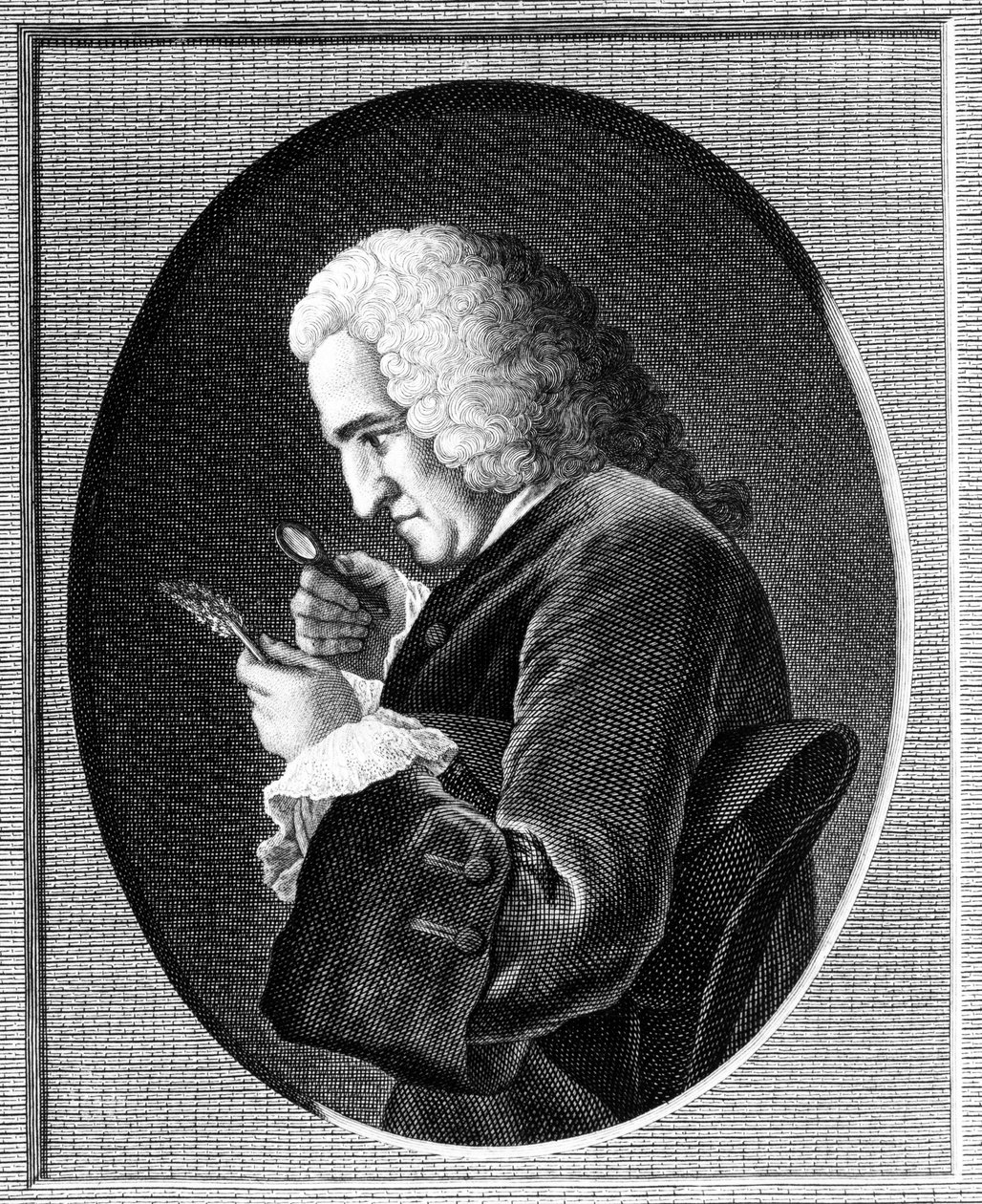 صورة برنارد دي جوسيو (1699-1777) بواسطة المدرسة الفرنسية