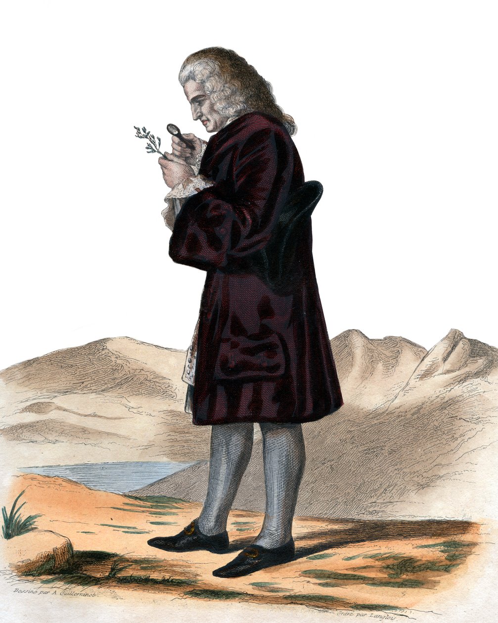 صورة برنار دي جوسيو (1699-1777) ، عالم الطبيعة الفرنسي. بواسطة المدرسة الفرنسية