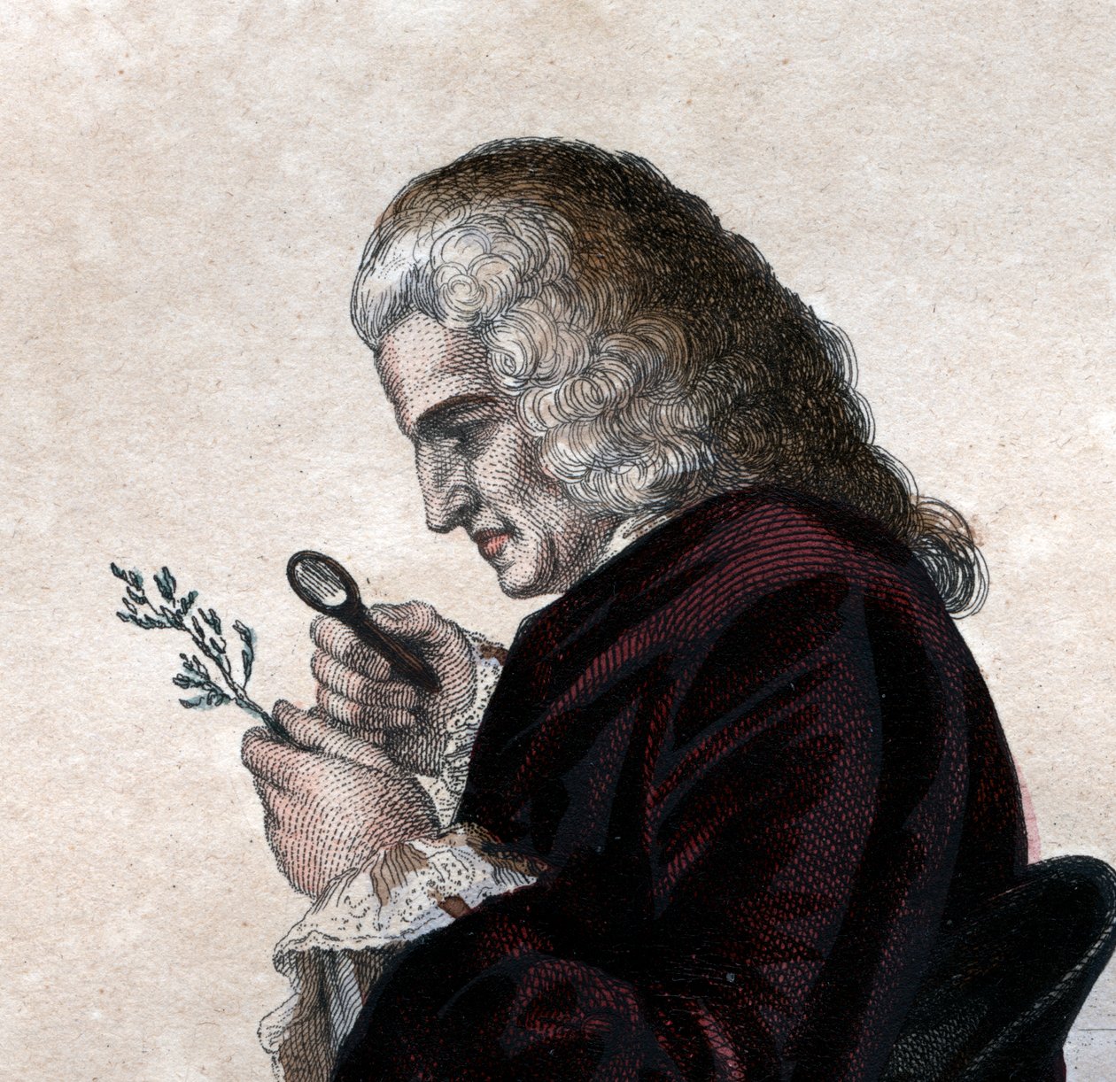 صورة برنار دي جوسيو (1699-1777) ، عالم الطبيعة الفرنسي. بواسطة المدرسة الفرنسية