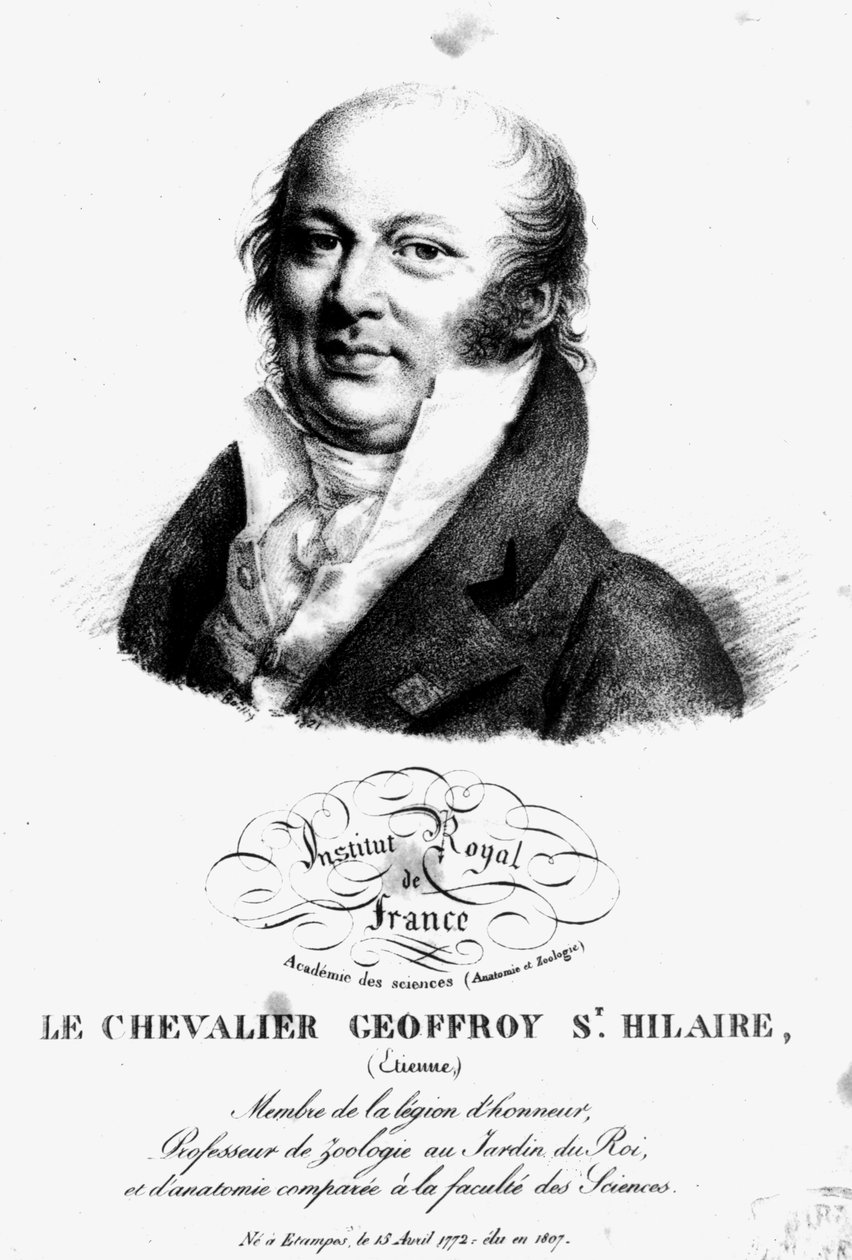 صورة إتيان جوفروي سانت هيلير (1722-1844) بواسطة المدرسة الفرنسية