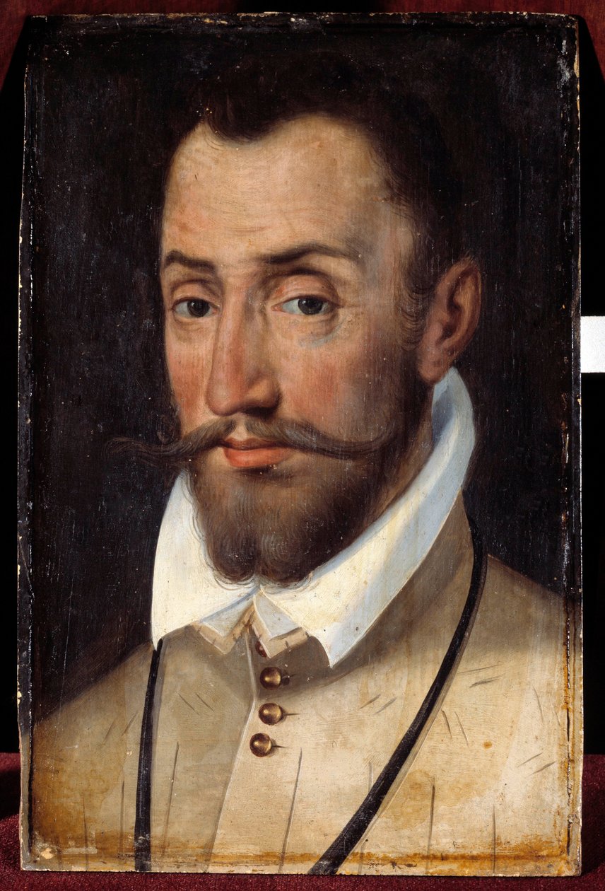 صورة فرانسوا دي كوليجني ، لورد أندلوت ، العقيد العام للمشاة (1521-1569) لوحة للمدرسة الفرنسية بواسطة المدرسة الفرنسية