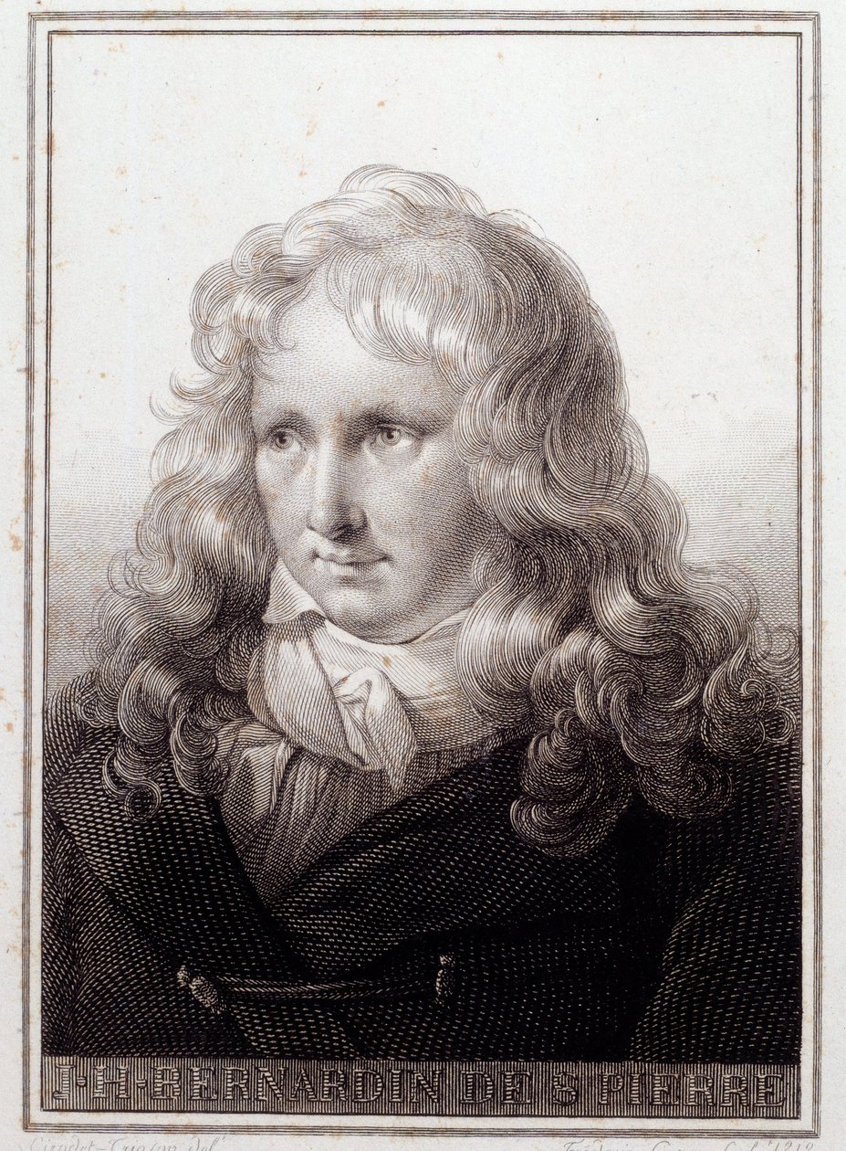 Portrait of Jacques Henri Bernardin de Saint Pierre (Saint-Pierre) (1737-1814), French writer. Anonymous engraving of the 18th century. Paris, Library of the Sorbonne بواسطة المدرسة الفرنسية