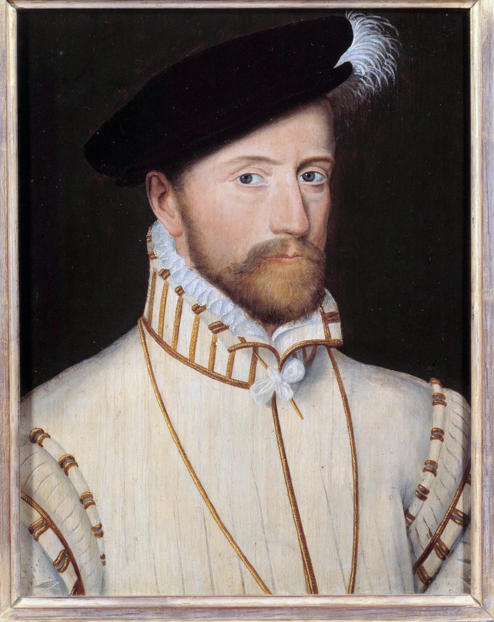 صورة لجاك دالبون ، سيد القديس أندريه ، ماركيز دي فرونساك (1505-1561) جعل مارشال فرنسا في 1547 لوحة للمدرسة الفرنسية في القرن السادس عشر. أبعاد 0.32 × 0.23 م. فرساي ، قصر فرساي وتريانون - صورة جاك د بواسطة المدرسة الفرنسية