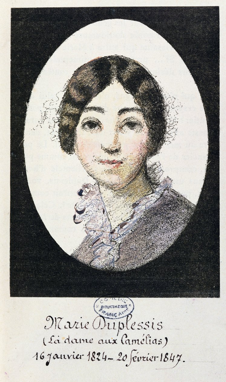 صورة ماري دوبليسيس (1824-1847) والمعروفة أيضًا باسم La Dame aux Camelias ، 1847 بواسطة المدرسة الفرنسية