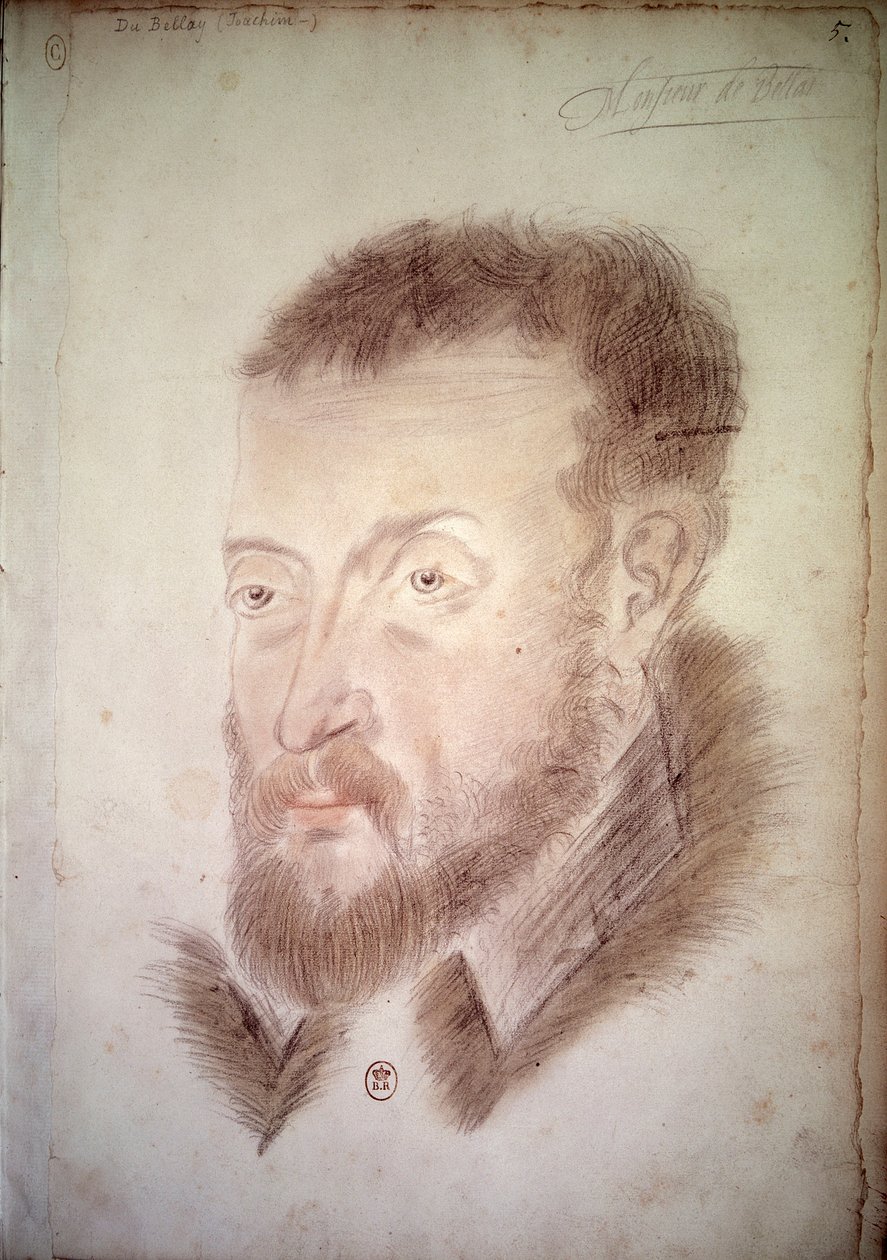 صورة للشاعر يواكيم دو بيلاي (1522-1560) رسم مجهول للمدرسة الفرنسية. القرن السادس عشر في باريس. BN بواسطة المدرسة الفرنسية