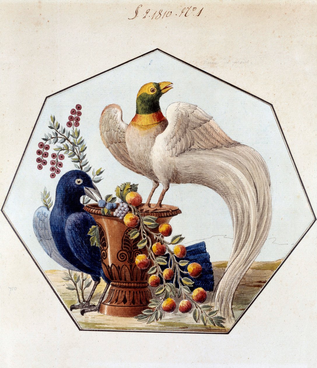 مشروع طاولة الطيور من البورسلين بواسطة الكسندر برونجنيارت (1770-1847). 1810 Sevres ، محفوظات مصنع Sevres بواسطة المدرسة الفرنسية
