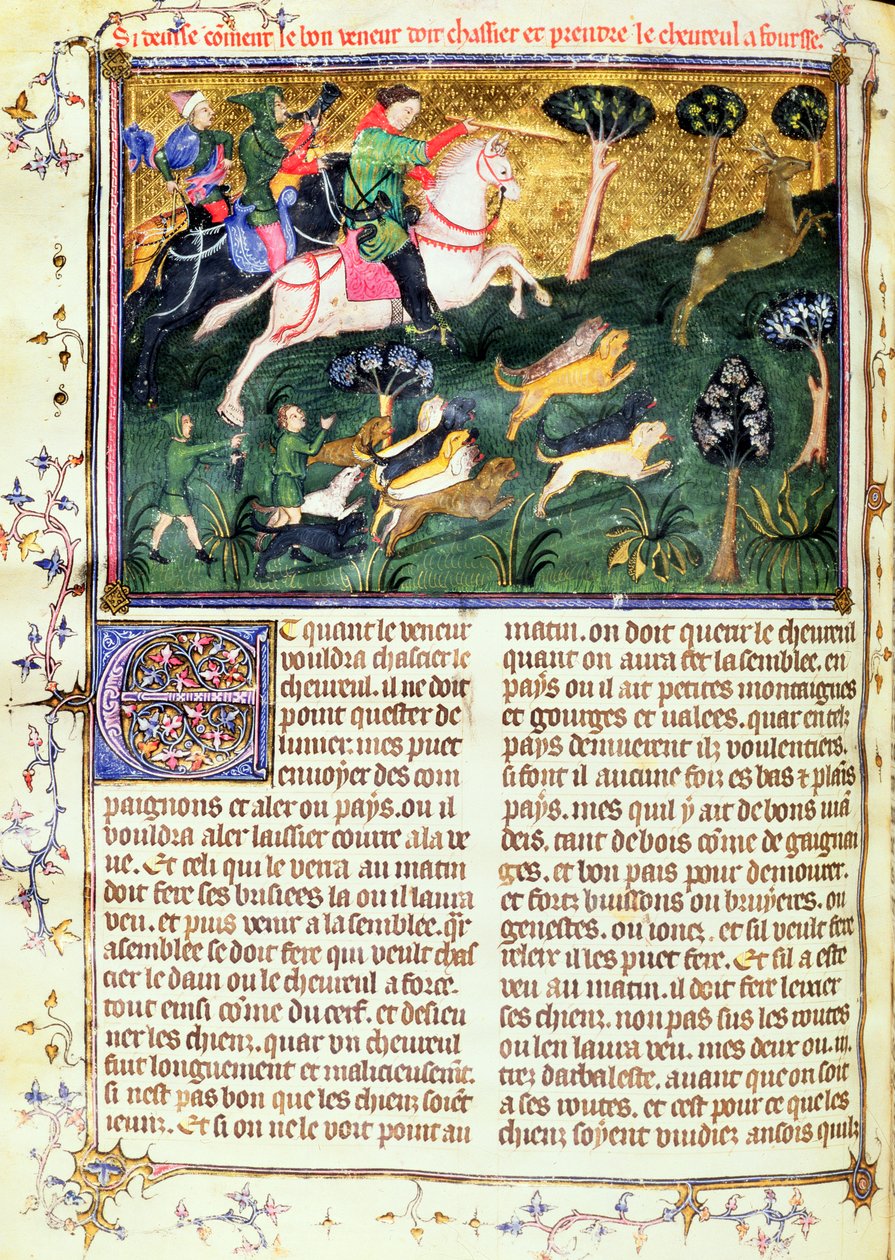 السعي وراء رو-باك ، من Livre de la Chasse ، النص الأصلي الذي كتبه Gaston III ، Comte de Foix Phebus le Chasseur (1331-91) Avignon ، 1387-89 (الغواش على الرق) بواسطة المدرسة الفرنسية