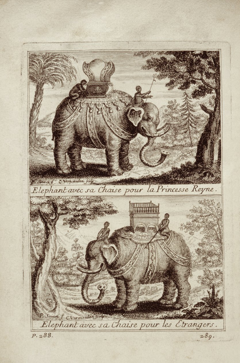 الفيلة الملكية ، من Voyage du Siam des Peres Jesuites بقلم جاي تاكارد ، 1688 بواسطة المدرسة الفرنسية