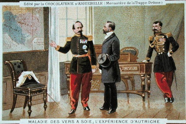مرض دودة القز في النمسا ، بطاقة إعلانية لـ Chocolaterie d'Aiguebelle (chromolitho) بواسطة المدرسة الفرنسية