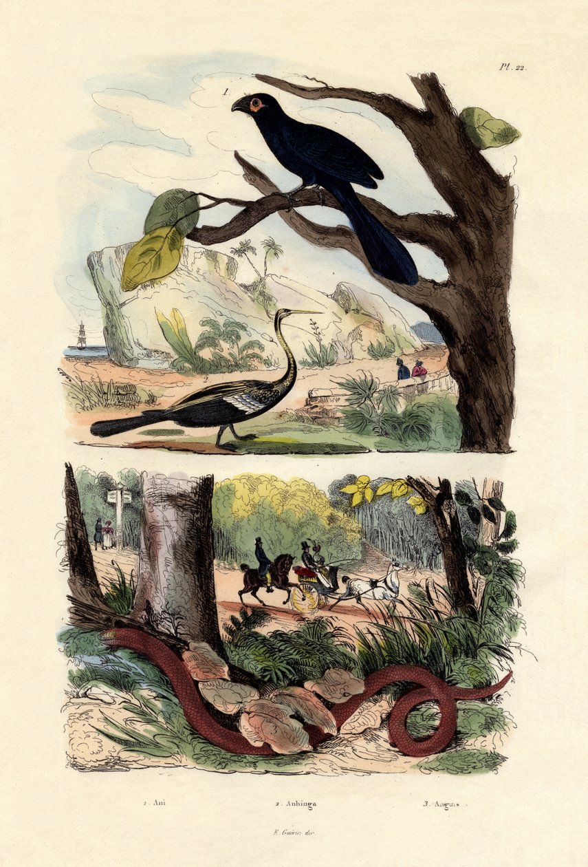 العاني فاتورة السلس ، 1833-1839 بواسطة المدرسة الفرنسية