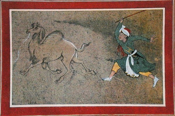 سائق الجمل الغاضب ، رسم توضيحي من "الليالي العربية" بواسطة المدرسة الفرنسية
