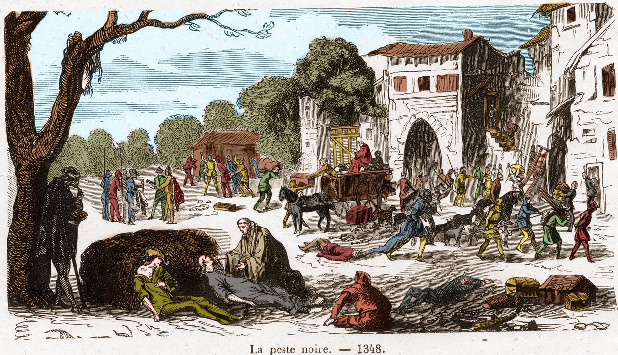 الطاعون الأسود عام 1348. نقش في "Histoire De France En Cent لوحات بواسطة Paul Lehugur" 1891. بواسطة المدرسة الفرنسية
