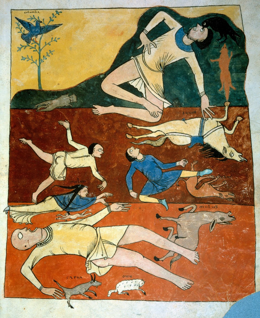 The Miniature Universal Deluge taken from the commentaries of “The Apocalypse according to Saint John” written in 775 by the monk Beatus of Liebana بواسطة المدرسة الفرنسية