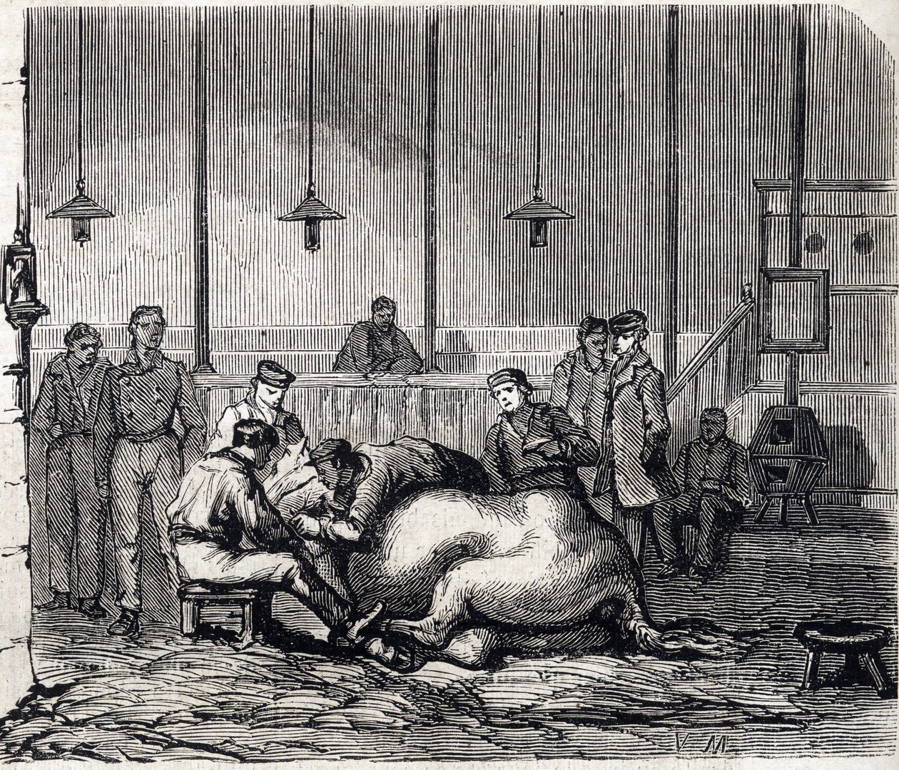 المدرسة البيطرية الوطنية في Alfort - Les grandes écoles de France - المدرسة البيطرية في Maison Alfort في عام 1866 - غرفة التشريح - نقش في "Le monde illustrious" عام 1866 بواسطة المدرسة الفرنسية