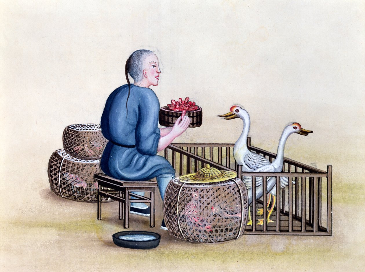 تاجر الدواجن ، من كتاب في مكالمات شارع بكين ، c.1785 (مرحاض وغواش على ورق) بواسطة المدرسة الفرنسية