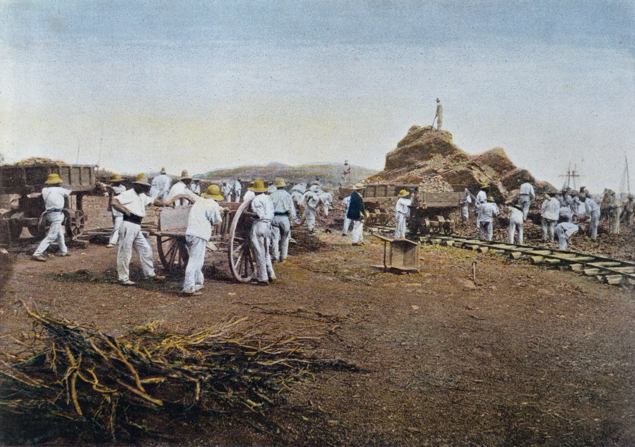 السجناء في العمل في مستعمرة نوميا بناليد في كاليدونيا الجديدة ، نقشها جيلو ، c.1900 بواسطة المدرسة الفرنسية