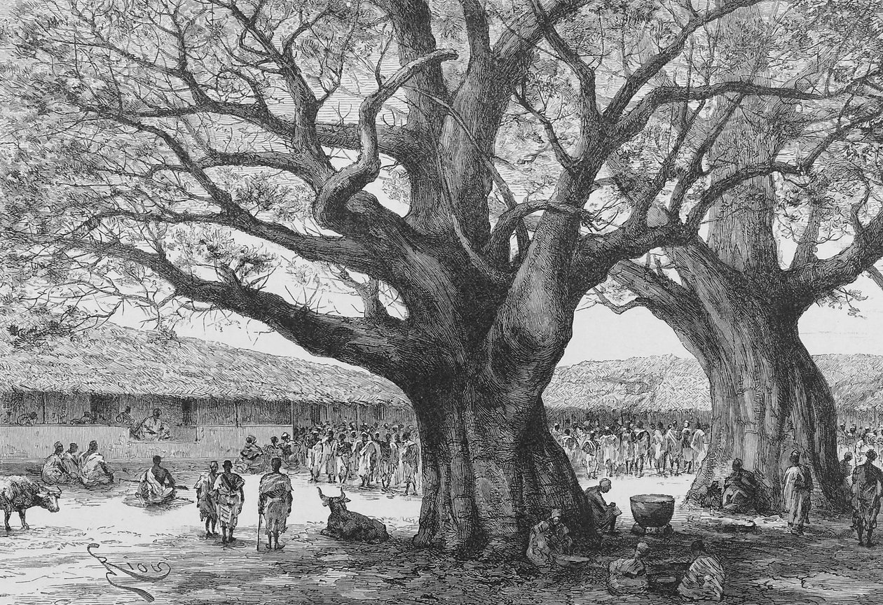 The Royal Residence at Aouabou ، رسم توضيحي من "Du Niger au Golfe de Guinee ..." ، بقلم لويس غوستاف بينغر ، 1892 بواسطة المدرسة الفرنسية