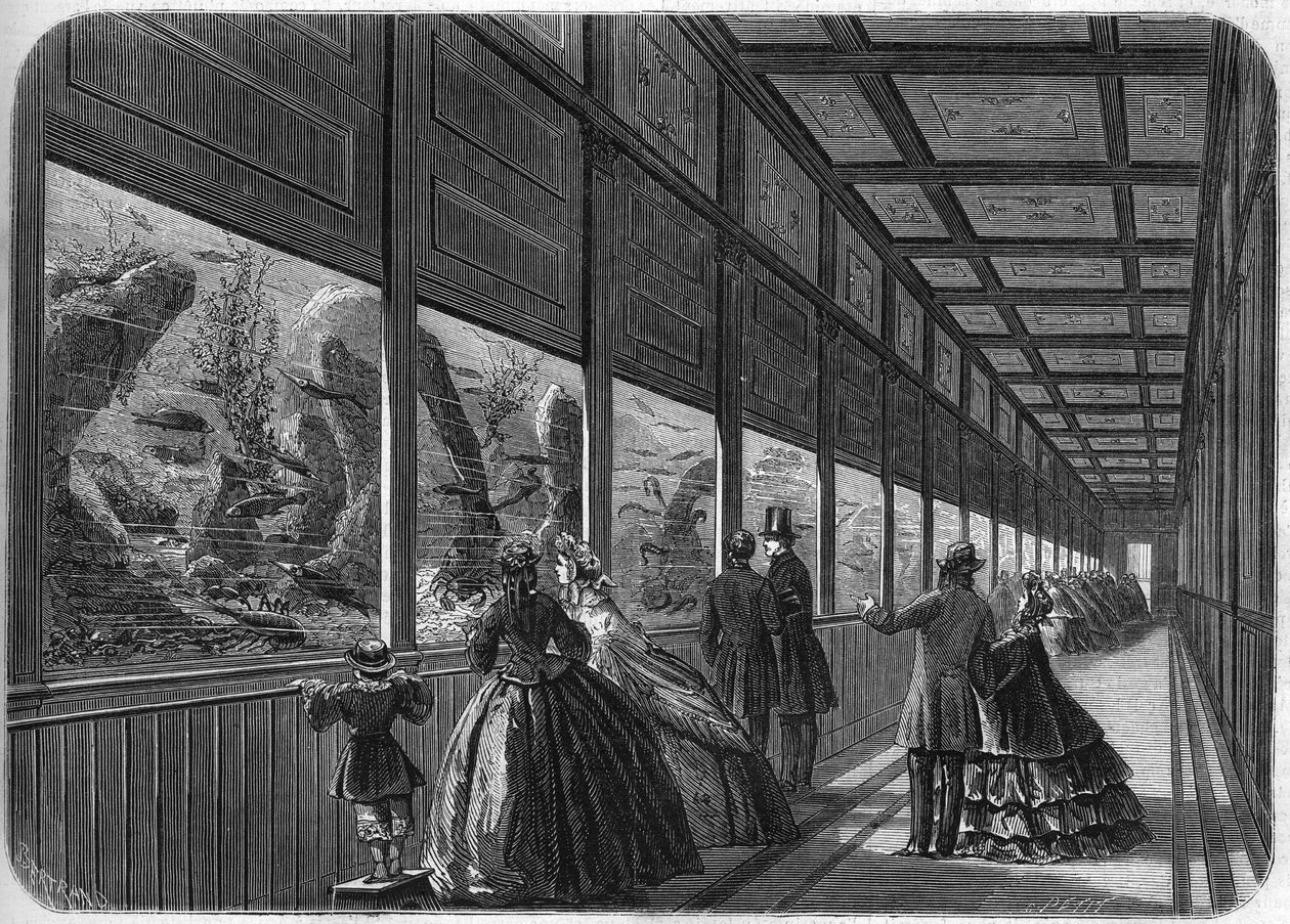 حوض السمك في حديقة باريس للتأقلم عام 1863. بواسطة المدرسة الفرنسية