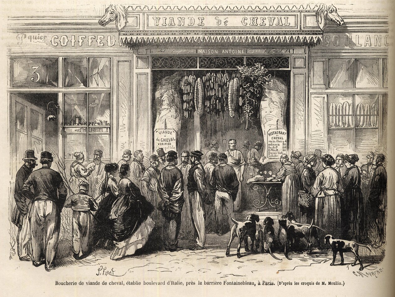 افتتح متجر جزار الخيول في Barriere de Fontainebleau (باريس) في عام 1866 - بوتشيري شيفالين - Boucherie Meat de Cheval Boulevard Italie بالقرب من Barriere de Fontainebleau 1866) نقش في "Le monde illustrious" de 1866 بواسطة المدرسة الفرنسية
