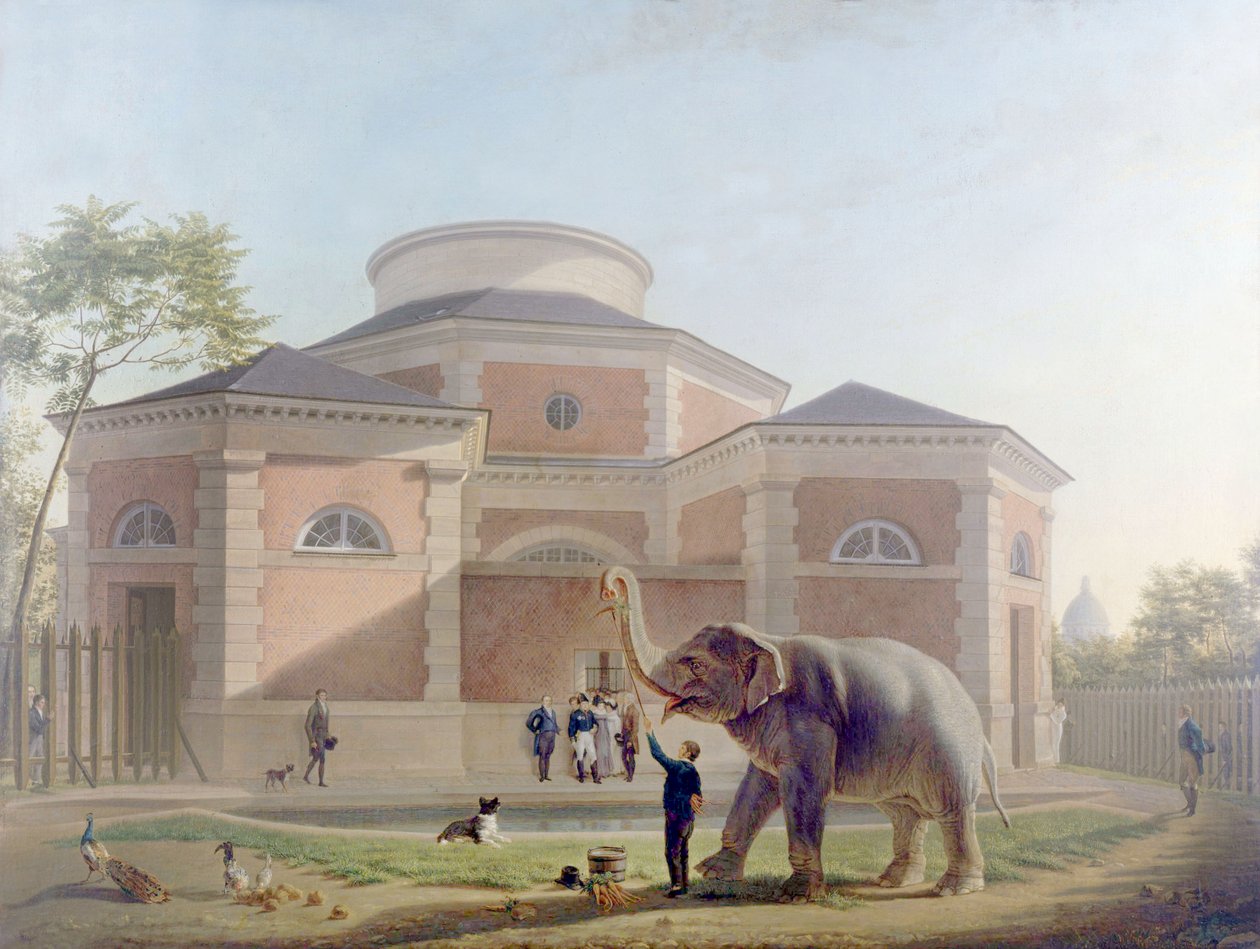 القاعة المستديرة في Jardin des Plantes ، باريس ، ج. 1810 (لوحة) بواسطة المدرسة الفرنسية