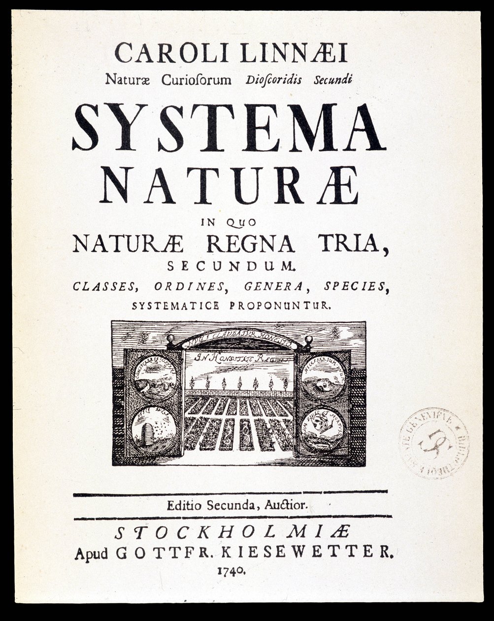 صفحة العنوان "Systema naturae" بقلم Linné بواسطة المدرسة الفرنسية
