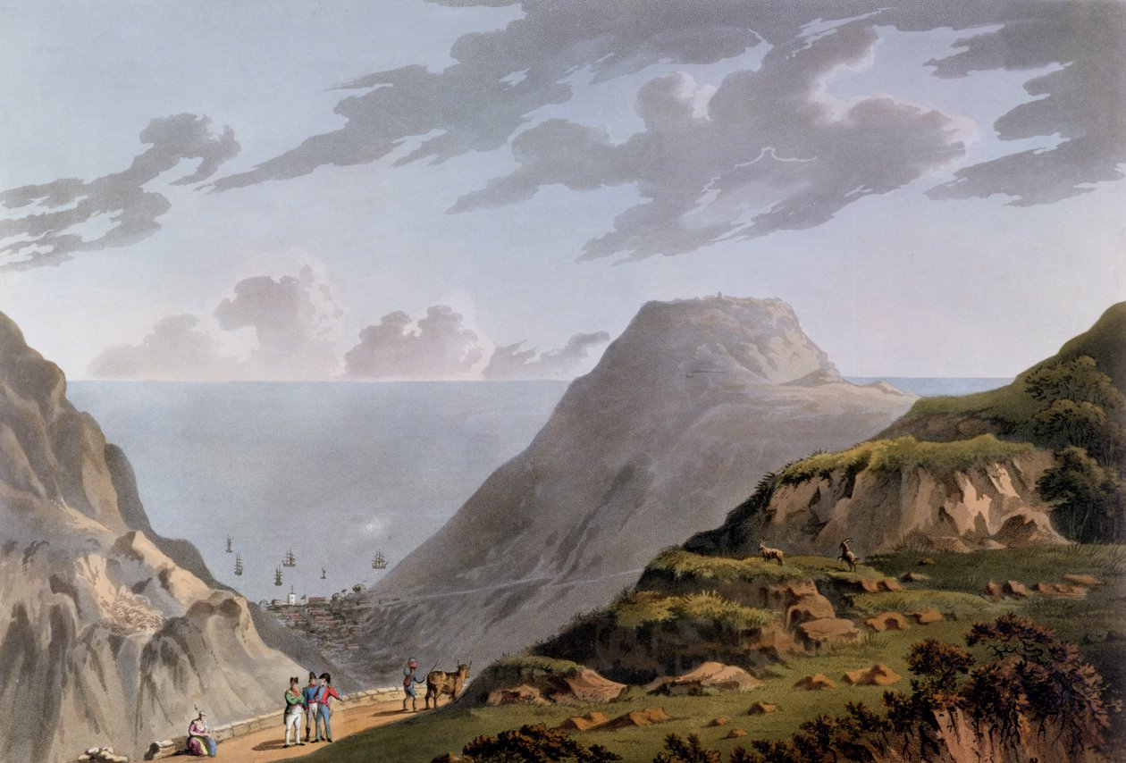 منظر لجيمستاون والمسار المؤدي إلى لونجوود ، c.1821 بواسطة المدرسة الفرنسية
