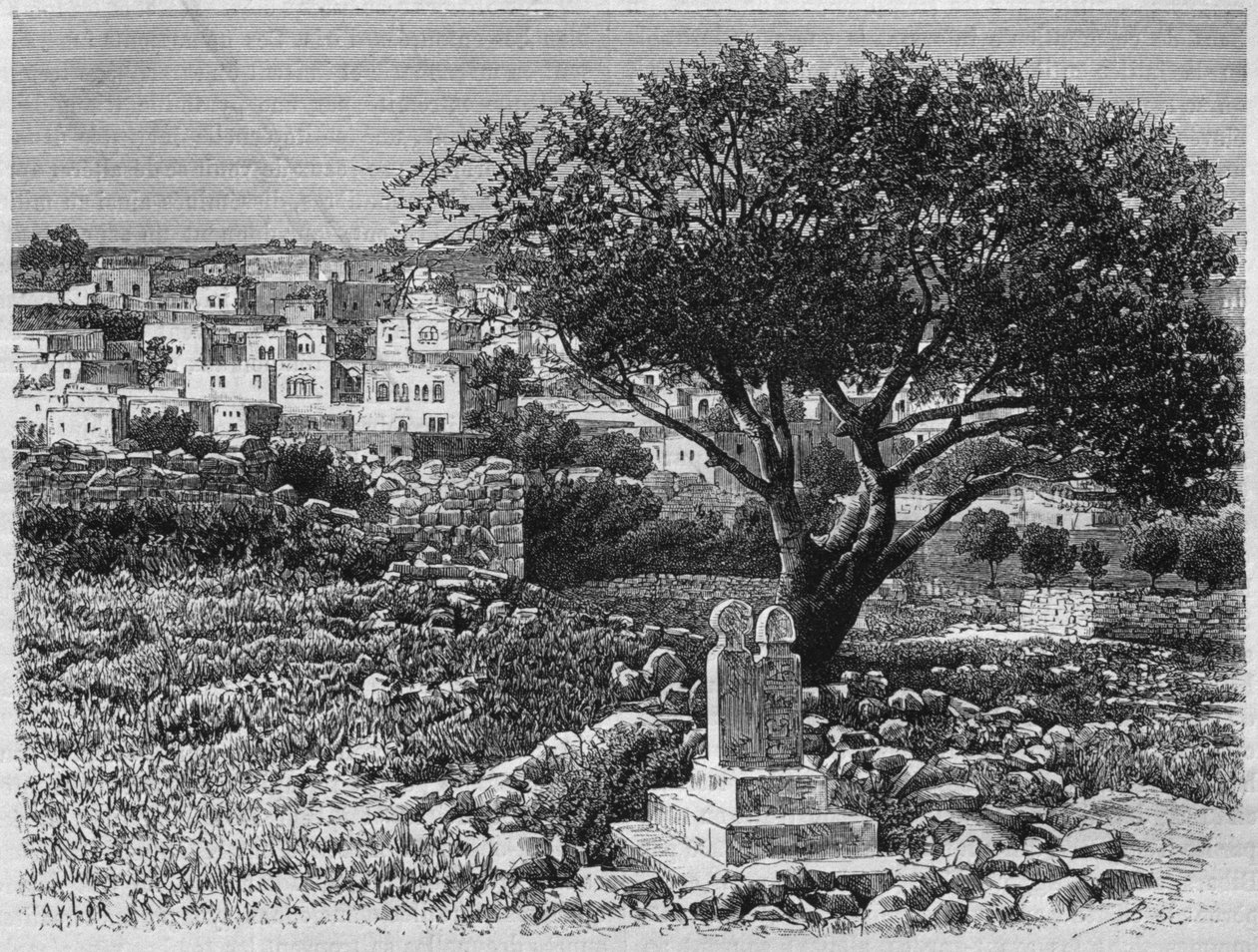 مشهد لصفد من سوريا اليوم. رحلات إلى فينيسيا ولبنان وجودي. 1875-1880 من لويس تشارلز إميل لورت ، 1884 (النقش وزن الجسم) بواسطة المدرسة الفرنسية