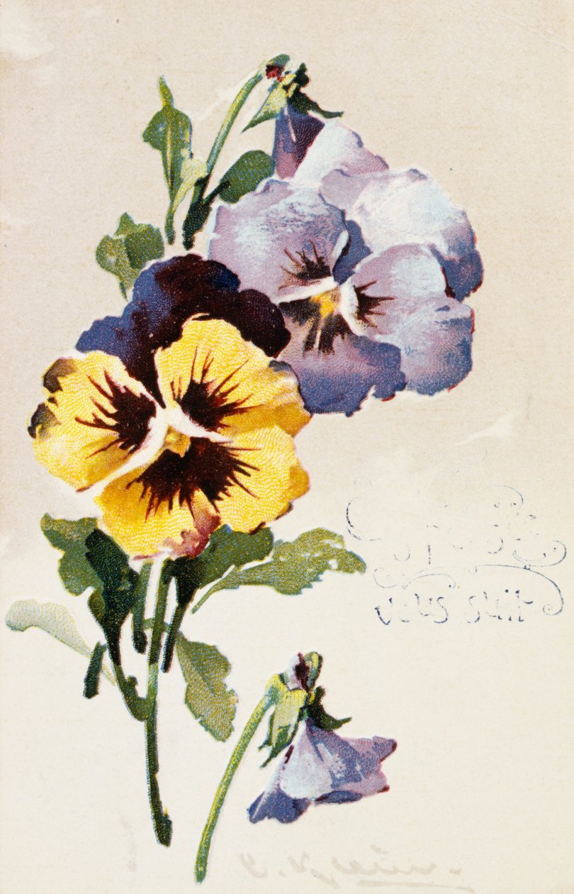  بواسطة المدرسة الفرنسية