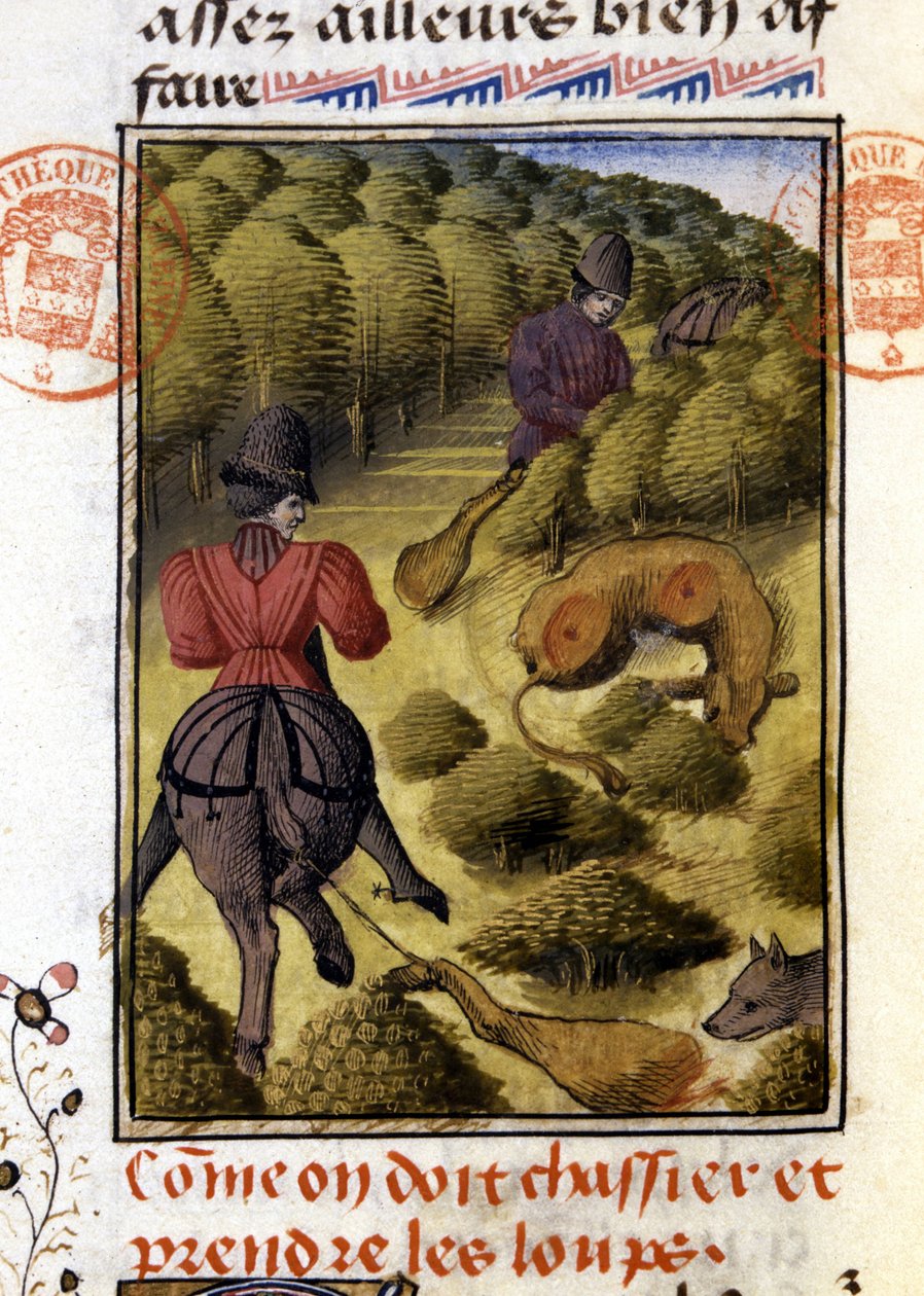 Wolf Hunt- in “” Hunting Book of Gaston Phoebus, Count of Foix, Lord of Béarn”” بواسطة المدرسة الفرنسية