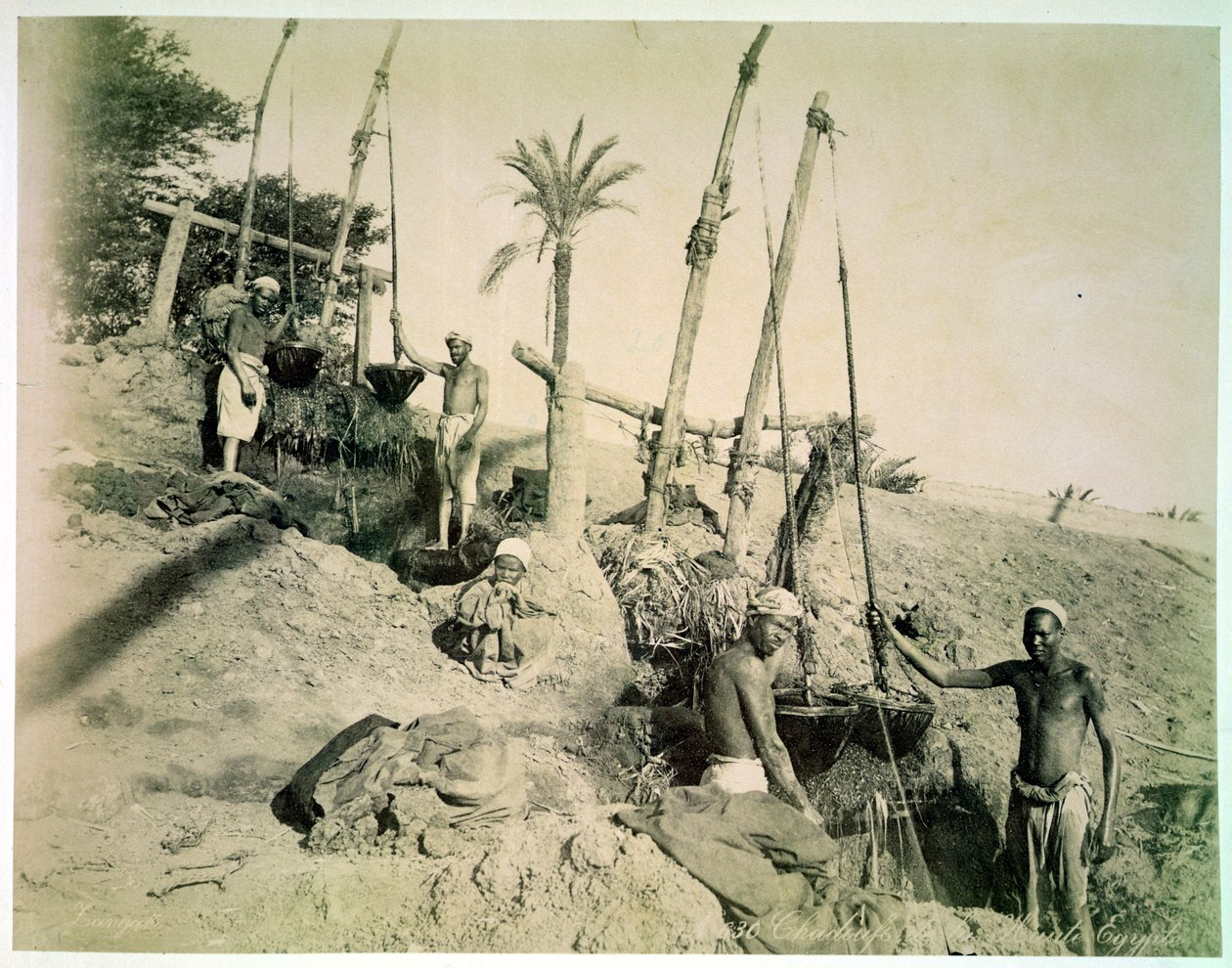 شادوف في صعيد مصر (صورة بني داكن) بواسطة جي ليكيجيان