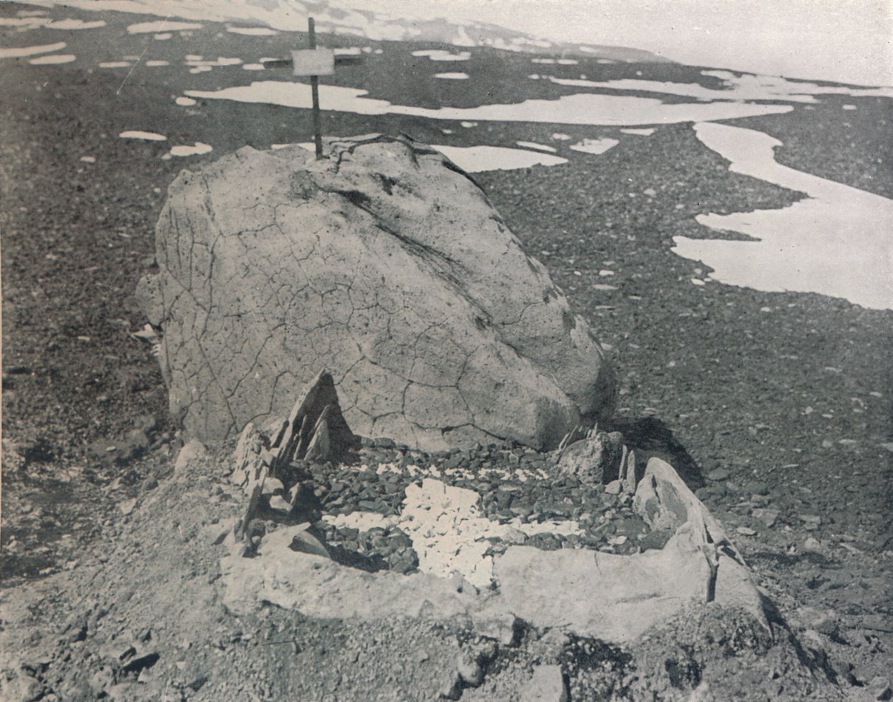 هانسينس جريف أون كيب آدار ، 1911 ، 1913 بواسطة ج. موراي ليفيك