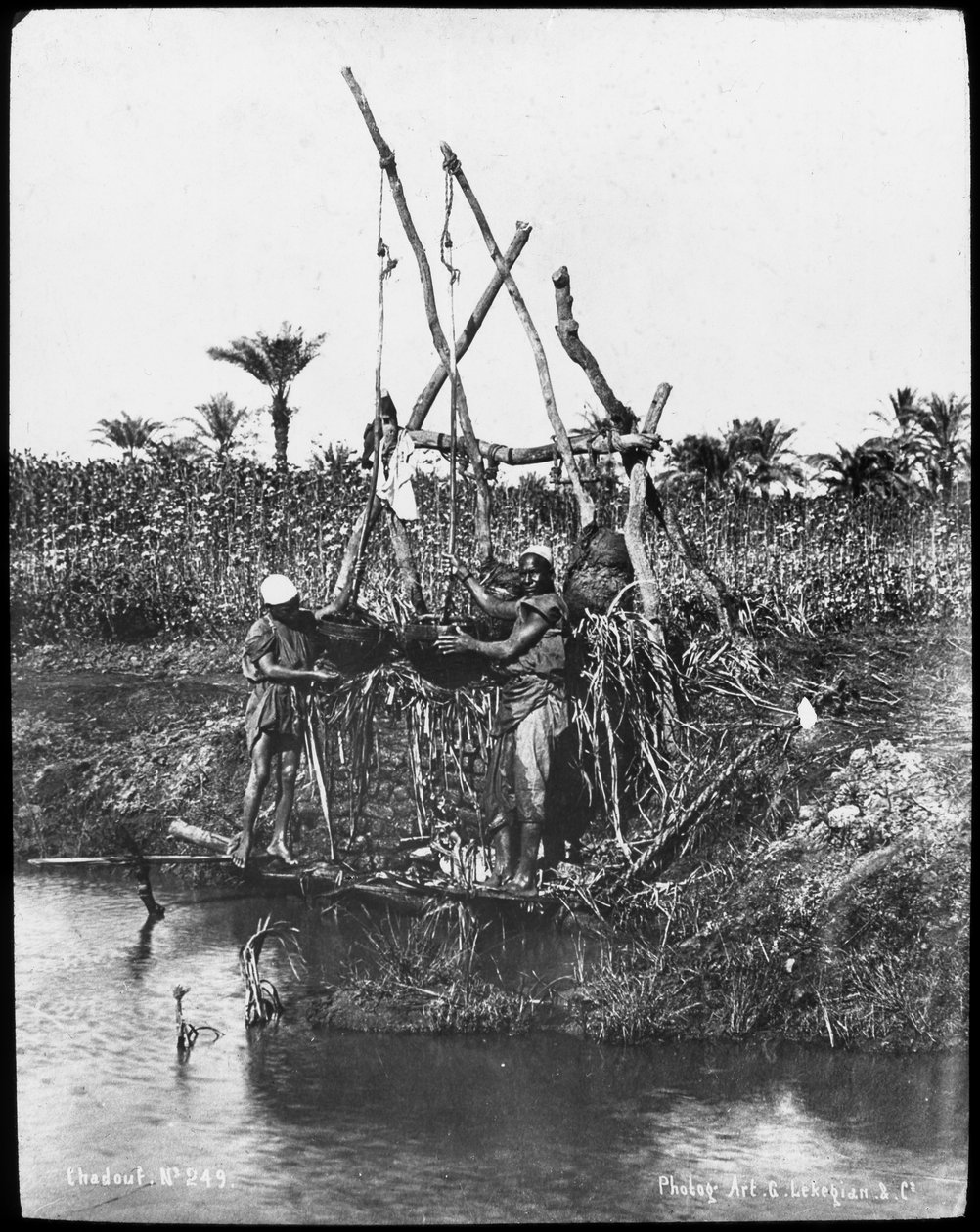 شادوف على النيل ، مصر ، c1890 بواسطة غابرييل ليكيجيان