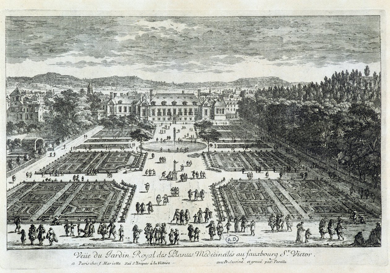 View of the Jardin des Plantes in the 17th century, by Perelle بواسطة غابرييل بيريل