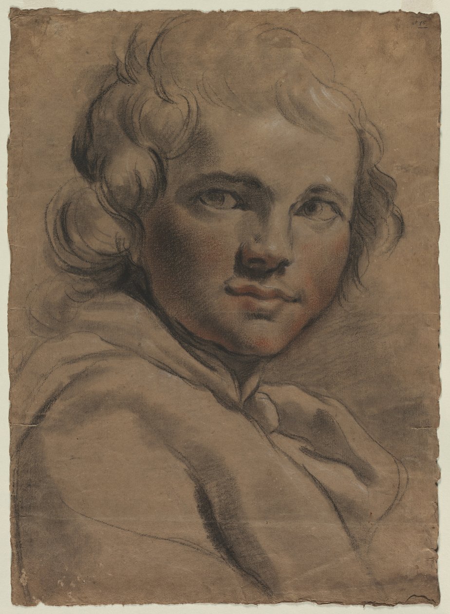 رأس شاب ، 1780s. بواسطة غايتانو جاندولفي