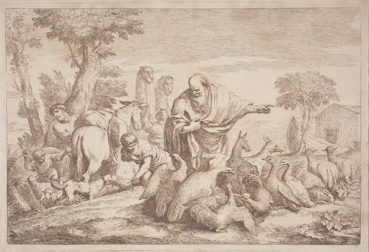 نوح يقود الحيوانات إلى الفلك بواسطة Gaetano Zompini ، بعد Giovanni Benedetto Castiglione