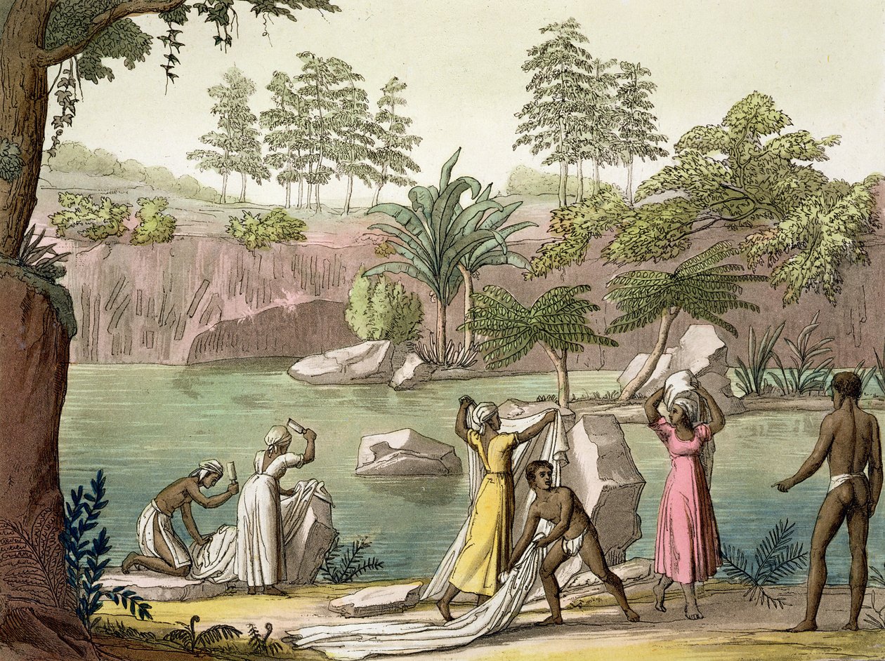 نهر بالقرب من سان بينيديتو ، مدغشقر ، اللوحة 81 من "Le Costume Ancien et Moderne" بقلم جول فيراريو ، تم نشرها في 1820s-30s بواسطة جالو غالينا