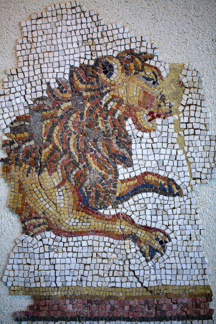  بواسطة جالو رومان
