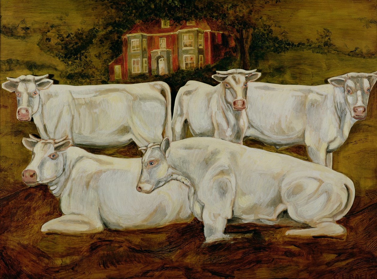 Charolais بولز ، Dippenhall ، Farnham بواسطة غاريث لويد بول