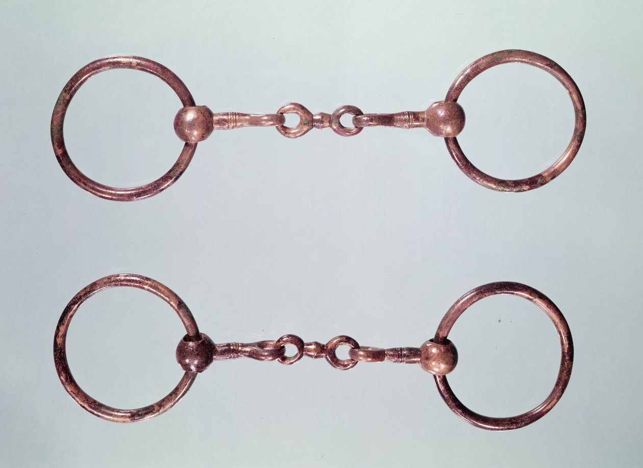 قطع الحصان ، من La Gorge-Meillet ، Tene I (c.475-0 قبل الميلاد) (برونزية) بواسطة الغالية