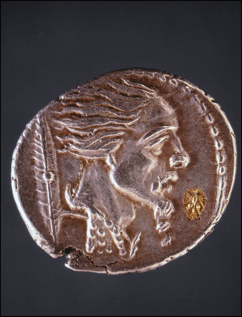 افترض ملف تعريف Vercingetorix على قطعة Gauloise. متحف جمع الميداليات. ميلان بواسطة Gaulish Gaulish