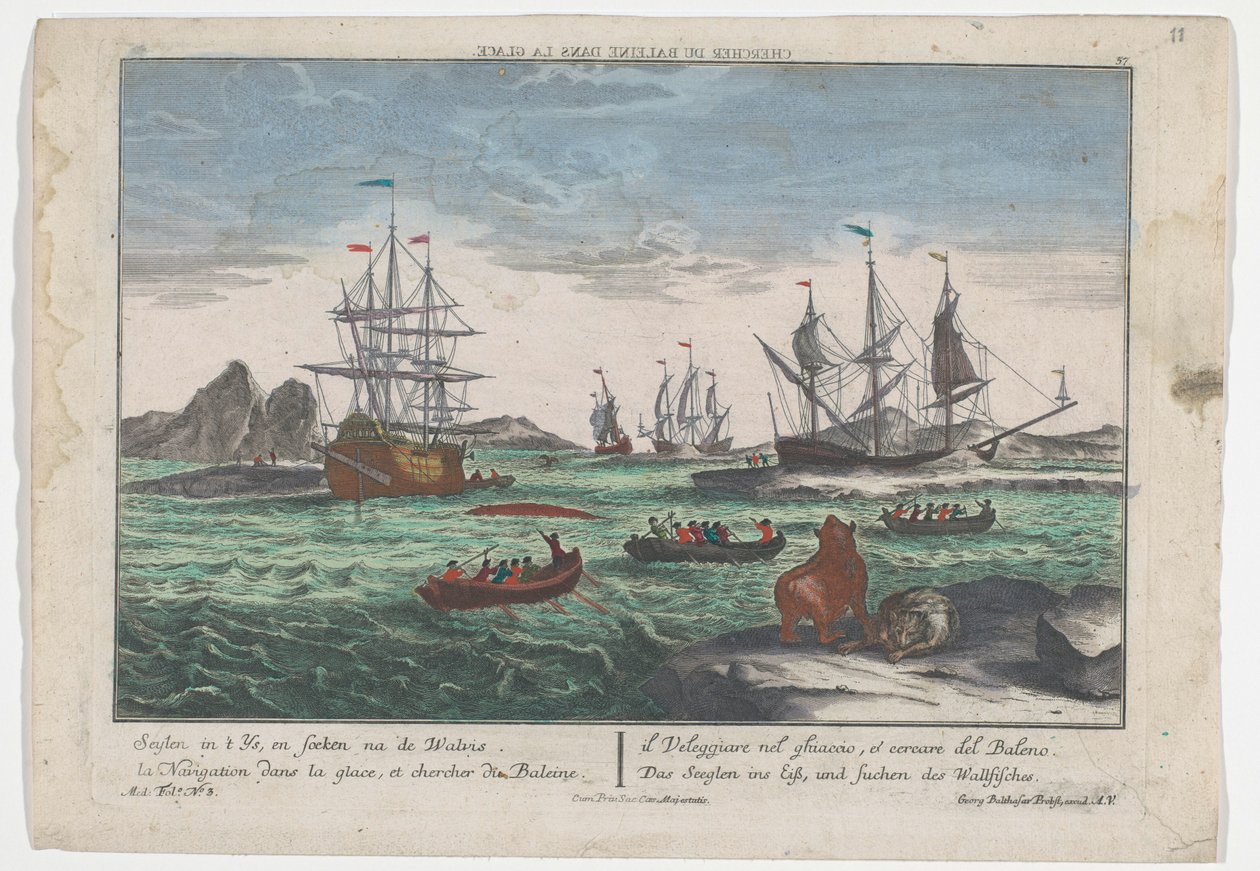 منظر للبحث عن الحيتان Das Seeglen ins Eiß، und Suchen des Wallfisches (العنوان على الكائن) صيد الحيتان قبالة جرينلاند (عنوان المسلسل) بواسطة جورج بالتازار بروبست
