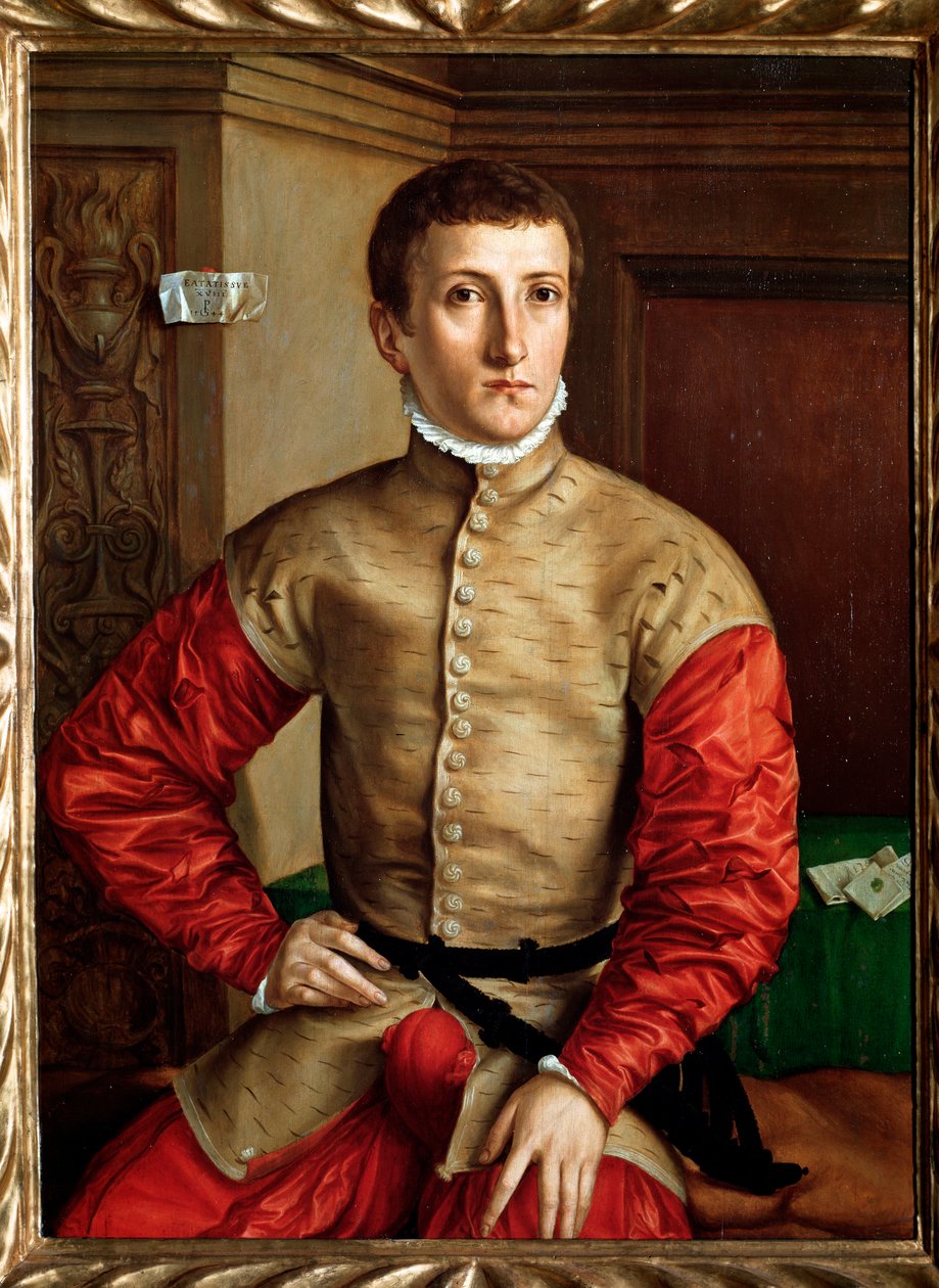 Portrait of a young man aged 18 - oil on wood, c. 1544 بواسطة جورج بينز